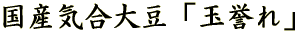 ���Y�C���哤�u�ʗ_��v